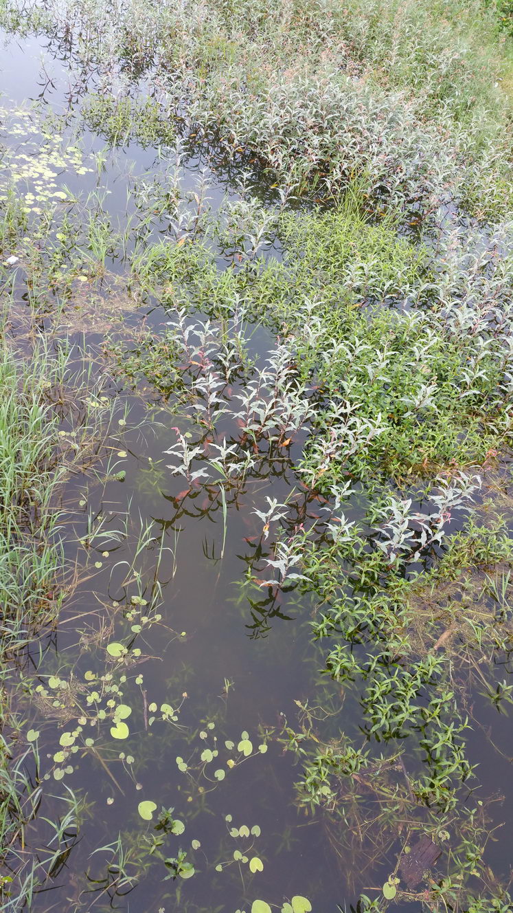 20160207 152623 (2016 04 27 15 50 28 UTC)